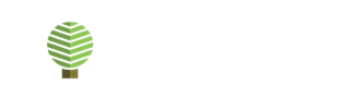 Arbor Creek Tax & Consulting